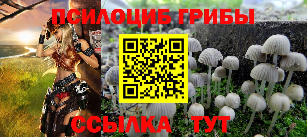 Псилоцибиновые грибы Psilocybe Удомля