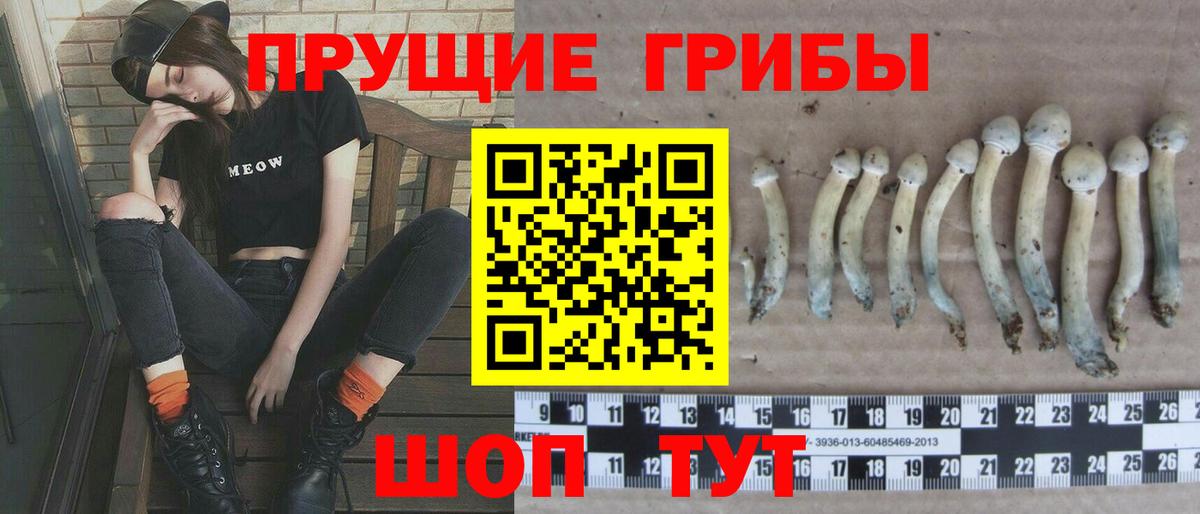 Галлюциногенные грибы Psilocybe  Вход с VPN  Удомля 